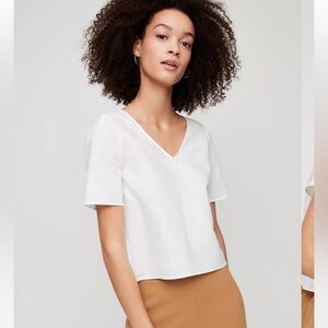 Babaton  Randy blouse by Aritzia crop top size XS